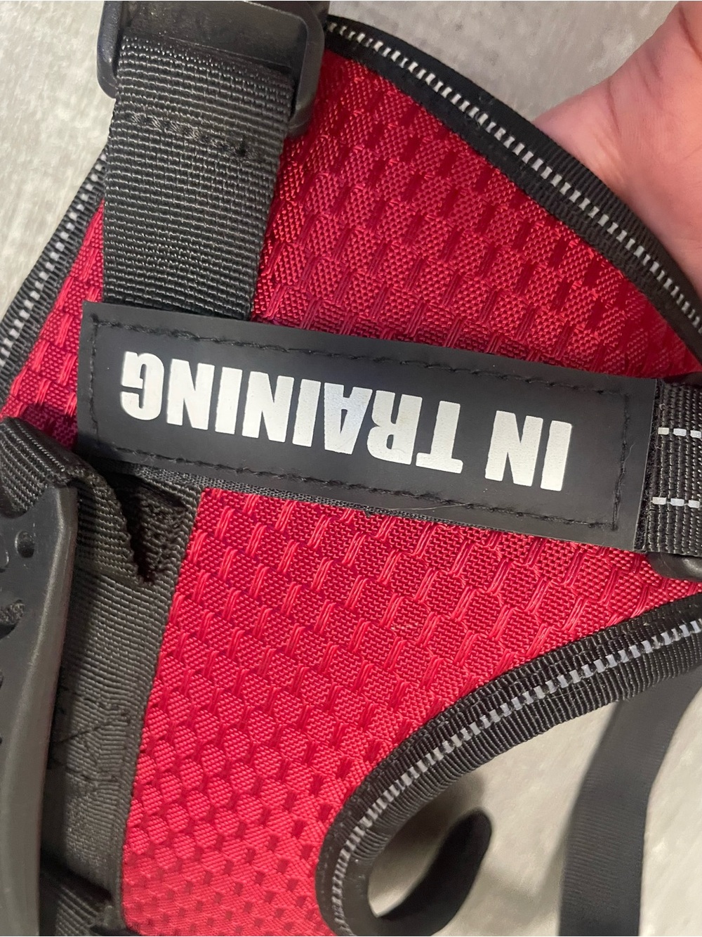 Dog Service/Training Harness - Picture 5 of 8